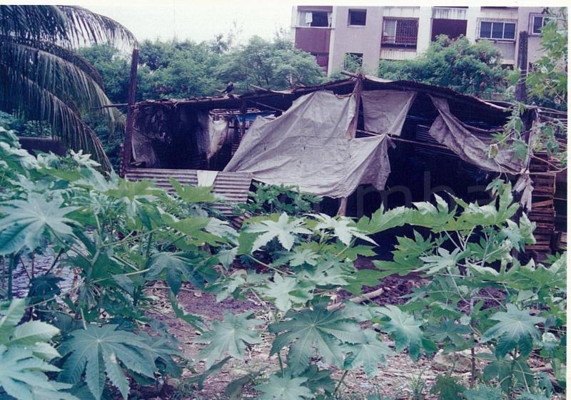 madni baug plot purchased 11-8-99 (25)