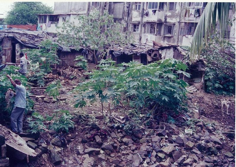 madni baug plot purchased 11-8-99 (33)