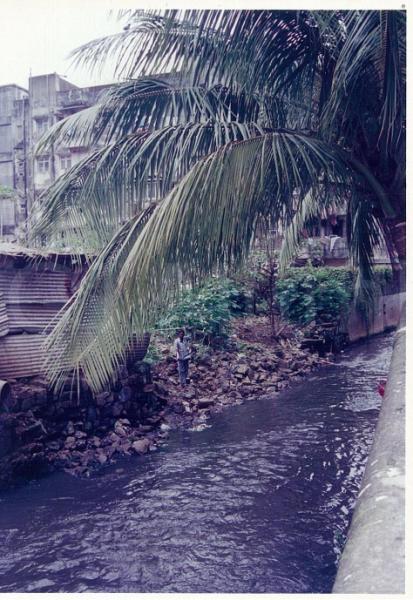 madni baug plot purchased 11-8-99 (49)